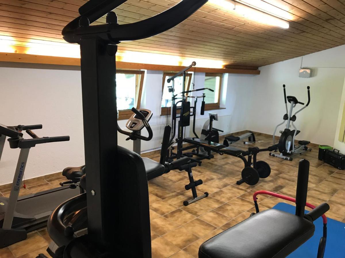 Studio Lofer Sankt Martin bei Lofer Ngoại thất bức ảnh